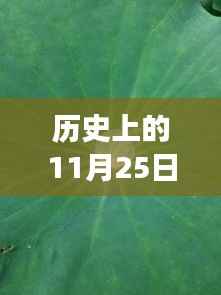 南翔宝贝城11月25日自然探索之旅,寻找内心的宁静与平和新动态报道