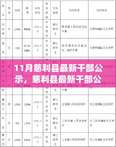 慈利县最新干部公示发布,查看步骤与指南助你轻松掌握信息获取技能
