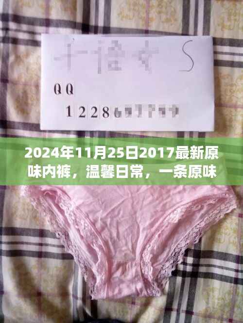 一条原味内裤的奇妙旅程,探索温馨日常的最新时尚(2024年11月25日)