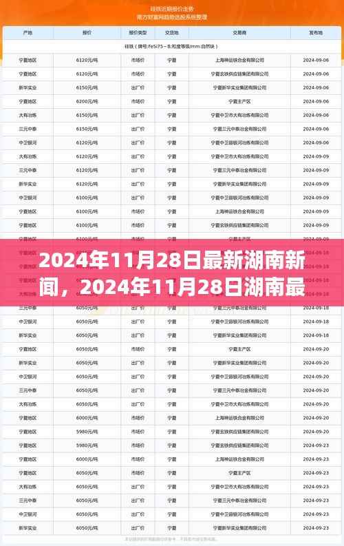 湖南新闻聚焦,最新动态与事件报道(2024年11月28日)