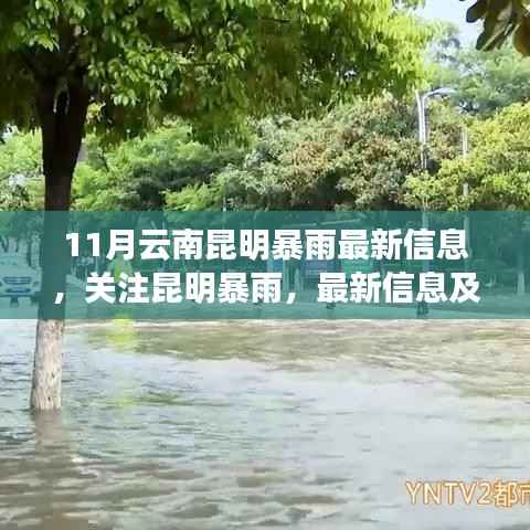 昆明暴雨最新动态,暴雨影响分析与关注