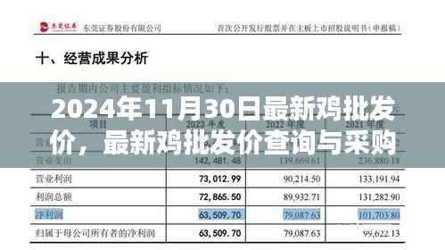 2024年最新鸡批发价指南,采购、查询一步到位,适用于初学者与进阶用户
