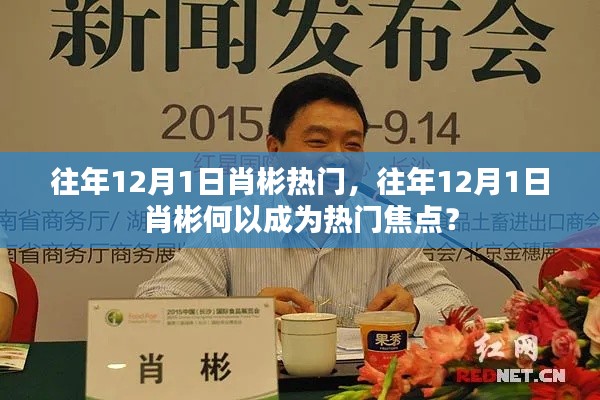 往年12月1日肖彬成热门焦点,揭秘其背后的原因!