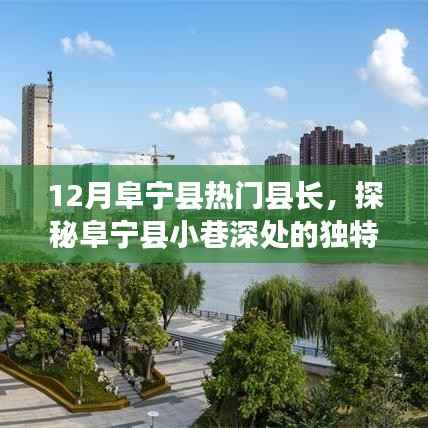 探秘阜宁县小巷美食宝藏,热门县长带你领略隐藏的美食风味