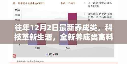 橘虞初梦 第13页