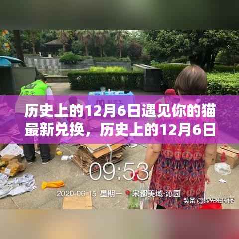历史上的12月6日遇见你的猫最新兑换，奇幻时空之旅开启！