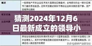 揭秘2024年最新领导小组,逐步解析与猜测