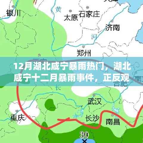 湖北咸宁十二月暴雨事件,正反观点分析与个人立场探讨