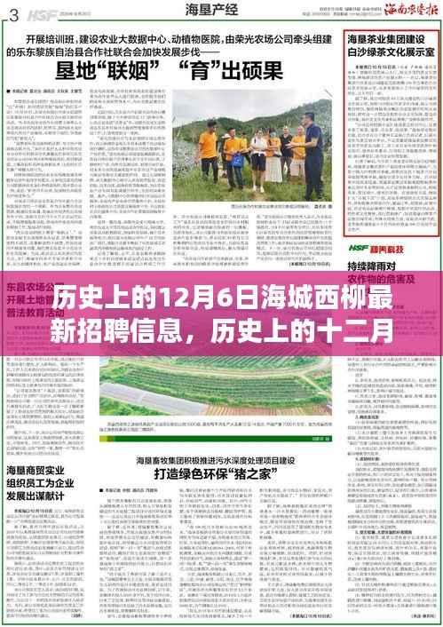历史上的12月6日海城西柳招聘内幕揭秘,最新职位信息一网打尽