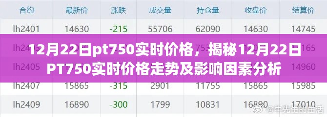 揭秘，12月22日PT750实时价格走势及分析全解析