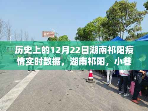 湖南祁阳疫情实时数据揭秘,小巷深处的秘密战疫故事与时空之旅的历程在12月22日的历史节点上展开