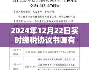 关于实时缴税协议书的全面评测与介绍,寻找最佳协议,针对2024年12月22日的详细解析