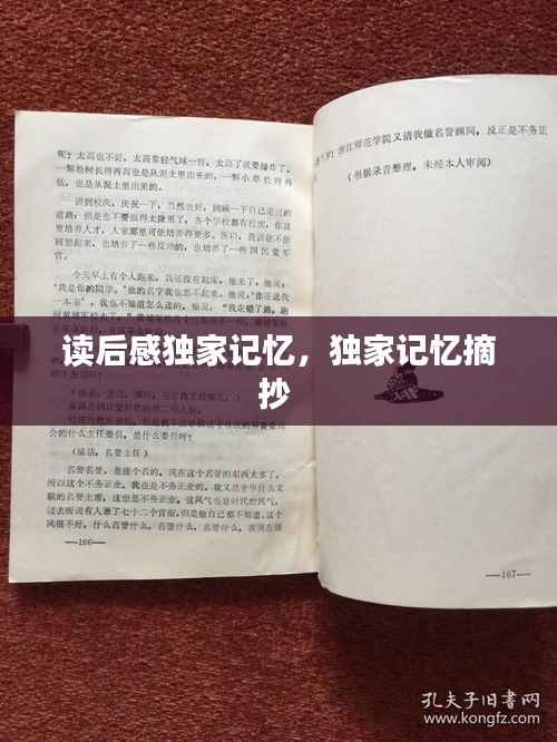 读后感独家记忆，独家记忆摘抄 