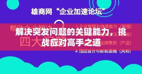 解决突发问题的关键能力,挑战应对高手之道