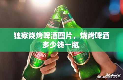 独家烧烤啤酒图片,烧烤啤酒多少钱一瓶