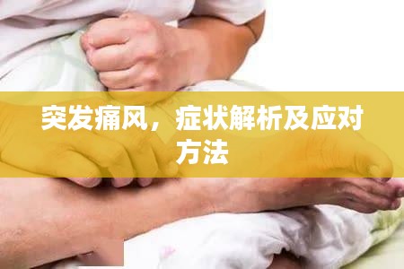 突发痛风,症状解析及应对方法