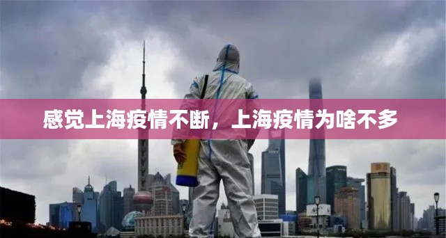 感觉上海疫情不断,上海疫情为啥不多