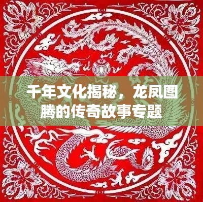 千年文化揭秘,龙凤图腾的传奇故事专题