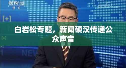 白岩松专题,新闻硬汉传递公众声音
