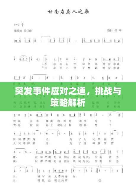 突发事件应对之道，挑战与策略解析