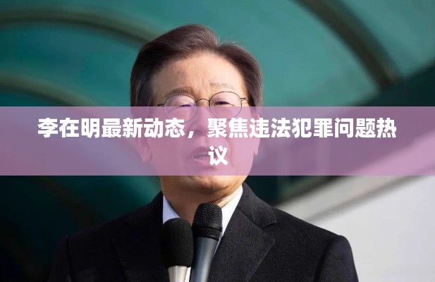 李在明最新动态，聚焦违法犯罪问题热议