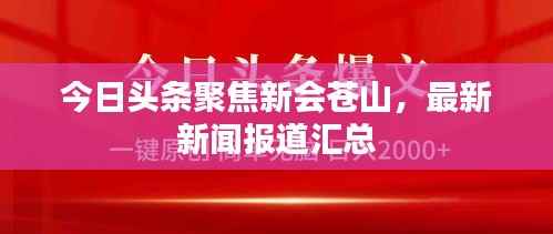 今日头条聚焦新会苍山,最新新闻报道汇总