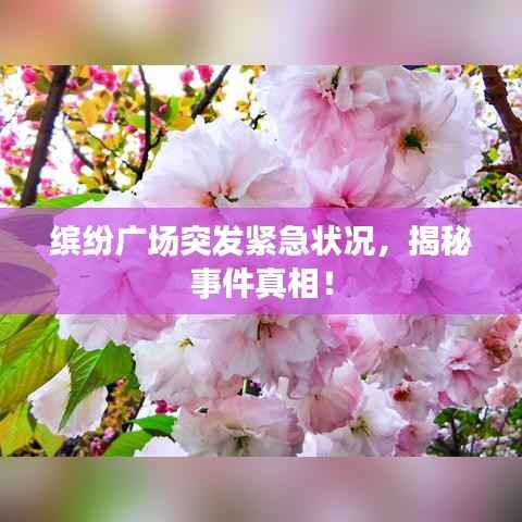 缤纷广场突发紧急状况，揭秘事件真相！