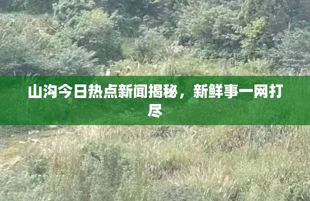 山沟今日热点新闻揭秘，新鲜事一网打尽
