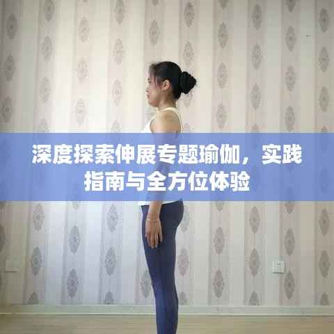 深度探索伸展专题瑜伽，实践指南与全方位体验