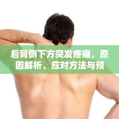 后背侧下方突发疼痛,原因解析、应对方法与预防措施