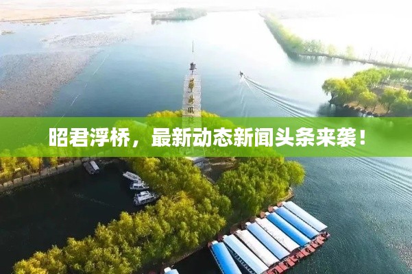 昭君浮桥,最新动态新闻头条来袭!