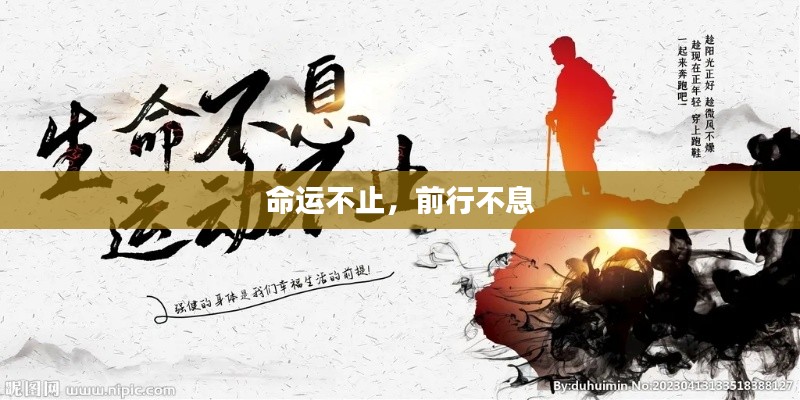 命运不止，前行不息