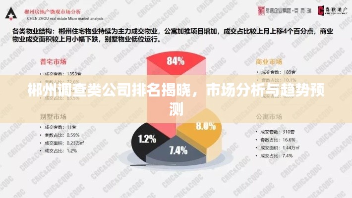 郴州调查类公司排名揭晓,市场分析与趋势预测