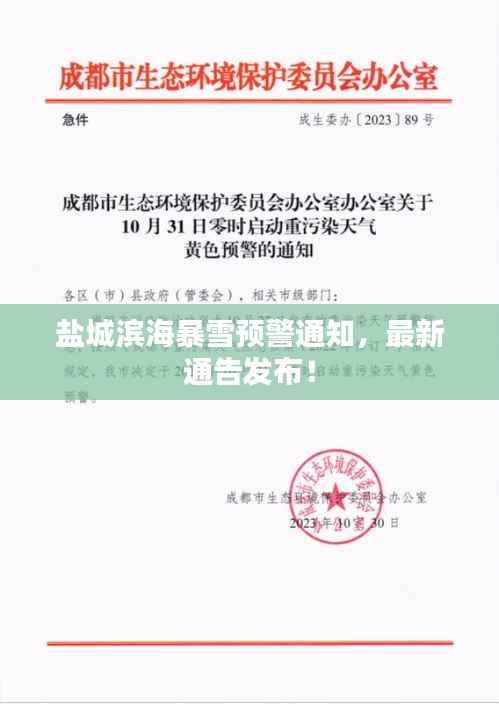 盐城滨海暴雪预警通知，最新通告发布！