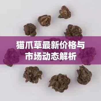 猫爪草最新价格与市场动态解析