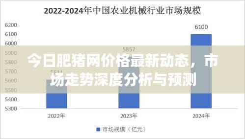 今日肥猪网价格最新动态,市场走势深度分析与预测