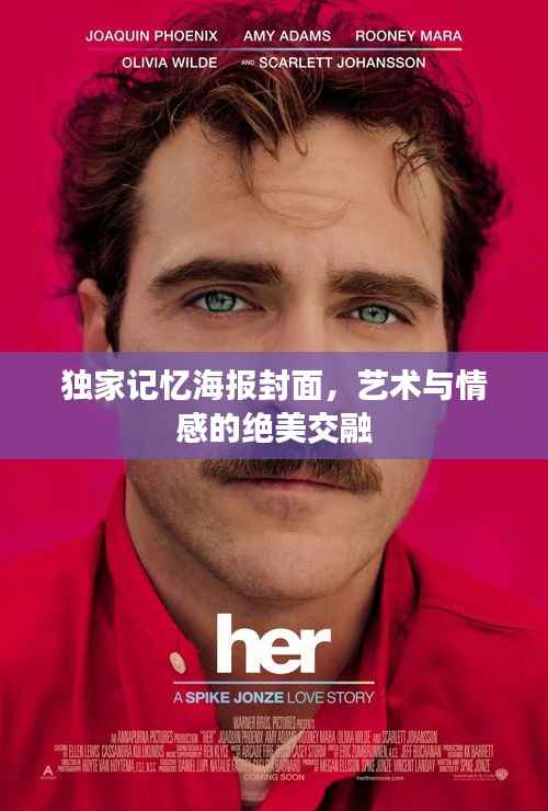 独家记忆海报封面,艺术与情感的绝美交融