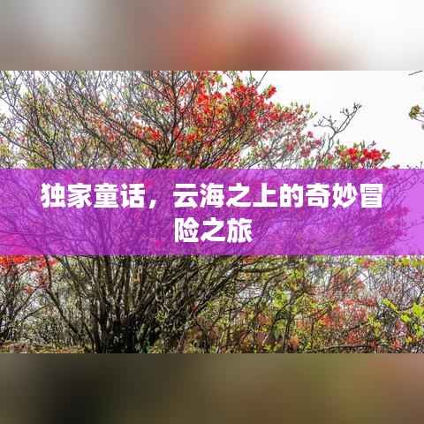 独家童话,云海之上的奇妙冒险之旅