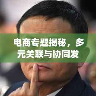 电商专题揭秘,多元关联与协同发展的行业生态探究