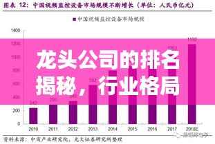 龙头公司的排名揭秘,行业格局的权威指南