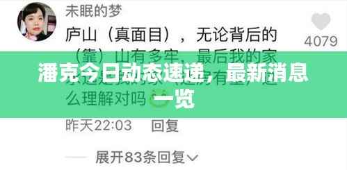 潘克今日动态速递,最新消息一览