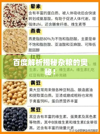 百度解析揭秘杂粮的奥秘!