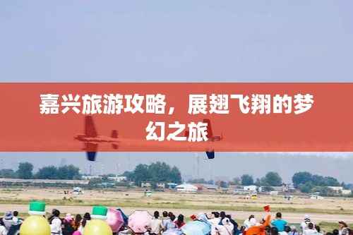 嘉兴旅游攻略，展翅飞翔的梦幻之旅