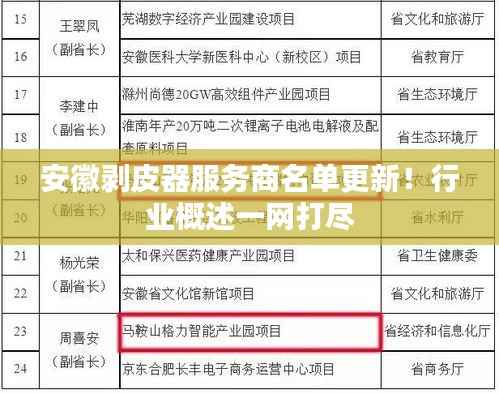 安徽剥皮器服务商名单更新!行业概述一网打尽