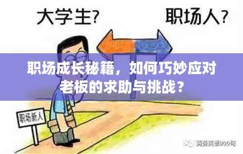 职场成长秘籍，如何巧妙应对老板的求助与挑战？