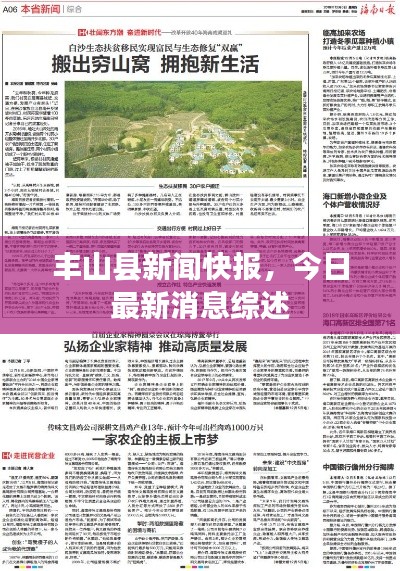丰山县新闻快报,今日最新消息综述