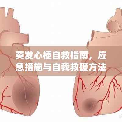 突发心梗自救指南,应急措施与自我救援方法