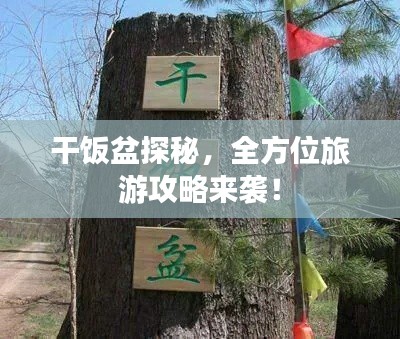 干饭盆探秘,全方位旅游攻略来袭!