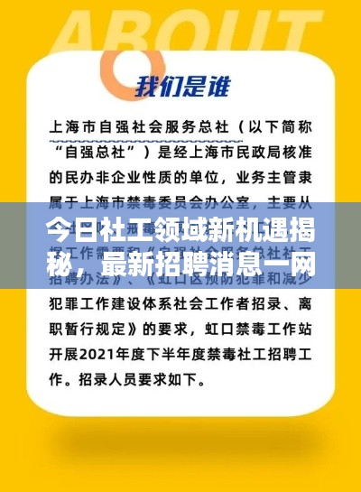 今日社工领域新机遇揭秘，最新招聘消息一网打尽