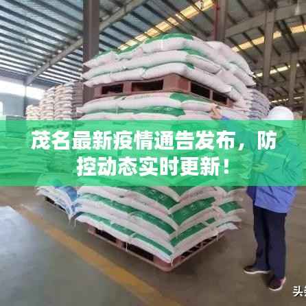 手舞足蹈 第6页